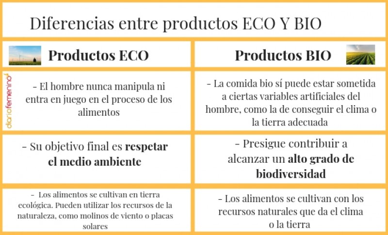 Productos Eco Vs Productos Bio Las Diferencias Que Debes Conocer 0613